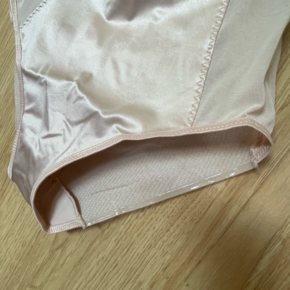 Ruby Ribbon Sheer Briefs - Picture 3 of 5